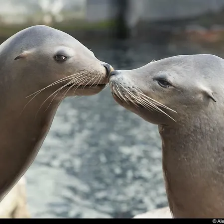 アパート Lumineux T2 Vieille 3pers Parking Gratuit - By La Source D'orfee