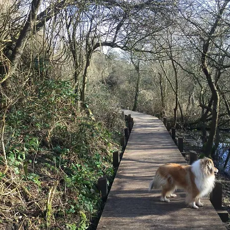 Lumineux T2 Vieille 3pers Parking Gratuit - By La Source D'orfee * ブローニュ・シュル・メール