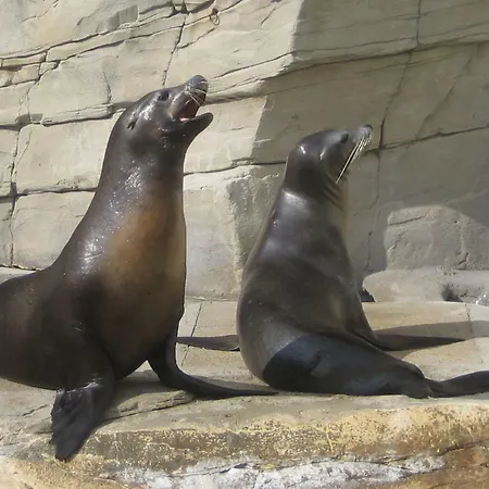 Lumineux T2 Vieille 3pers Parking Gratuit - By La Source D'orfee Lägenhet Boulogne-sur-Mer